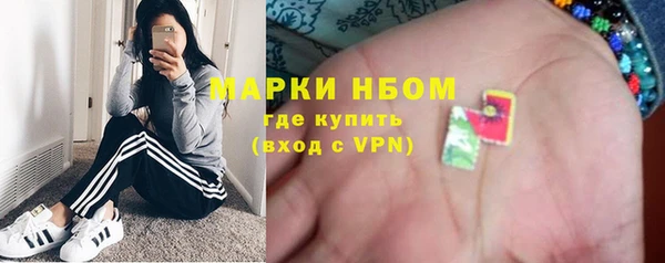 хмурый Инсар