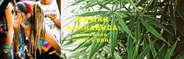 хмурый Инсар