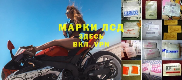 хмурый Инсар